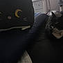 animal, bedroom, black_and_white_cat, cat, collar, cushion, cute, dark, eyes, fabric, feline, furniture, indoor, pet, plush_toy, relaxing, resting, soft_toy, toy, whiskers