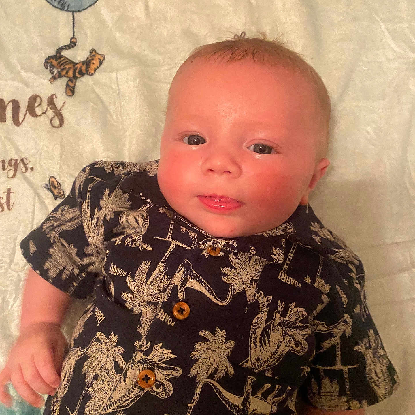 Kaleb Jr. is registered to the contest to win money with this photo: baby, blanket, button_up, child, close_up, clothing, cute, dinosaur_shirt, indoors, infant, lying_down, patterned_blanket, person, portrait, rosy_cheeks, short_hair, sleepwear, smiling, tongue_out, young_child