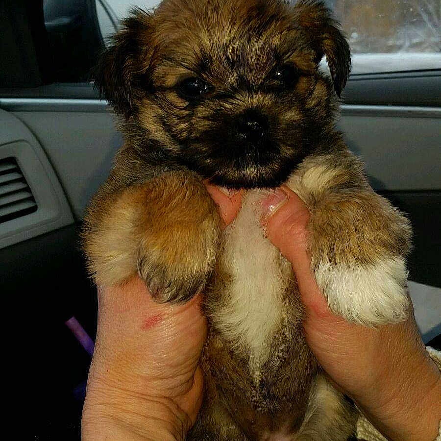 Iska is registered to the contest to win money with this photo: