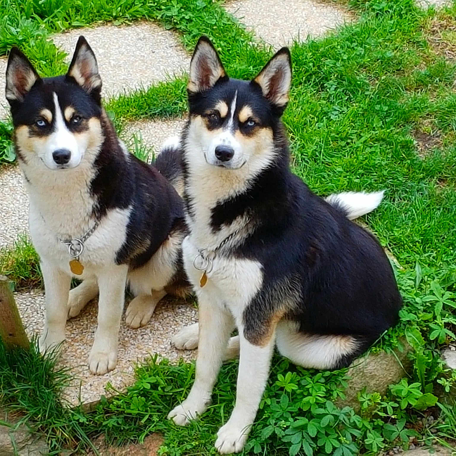 Nahia Et Naska