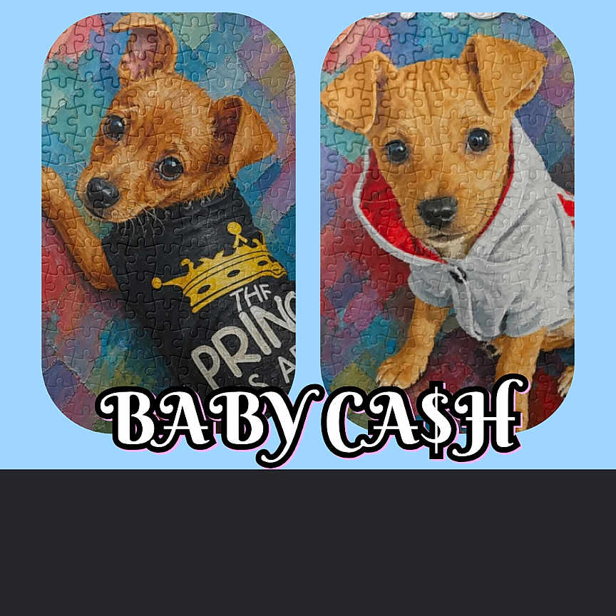 Cash