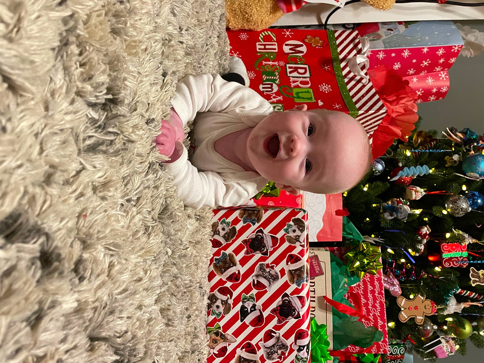 Avery is registered to the contest to win money with this photo: baby, christmas_decoration, christmas_ornament, christmas_tree, event, fun, grass, happy, hat, holiday, holiday_ornament, ornament, pattern, people_in_nature, person, plant, smile, toddler, tradition, tree