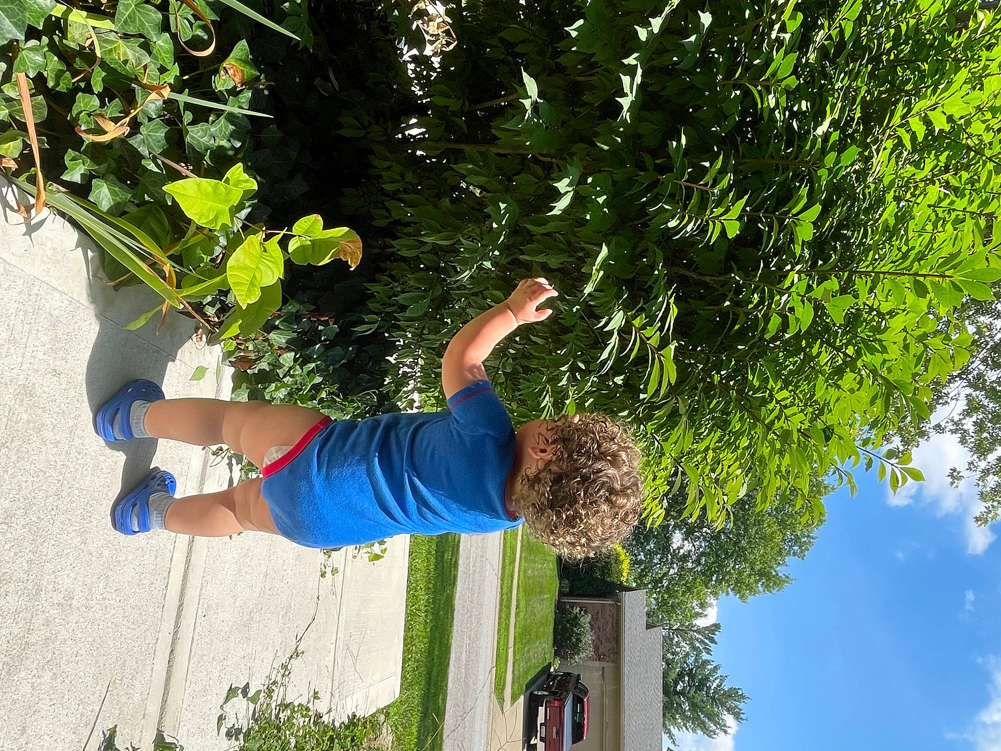 Kamdyn is registered to the contest to win money with this photo: cloud, elbow, electric_blue, fun, grass, happy, human_leg, leisure, people_in_nature, plant, recreation, shadow, shorts, shrub, sky, t_shirt, thigh, tree, woody_plant