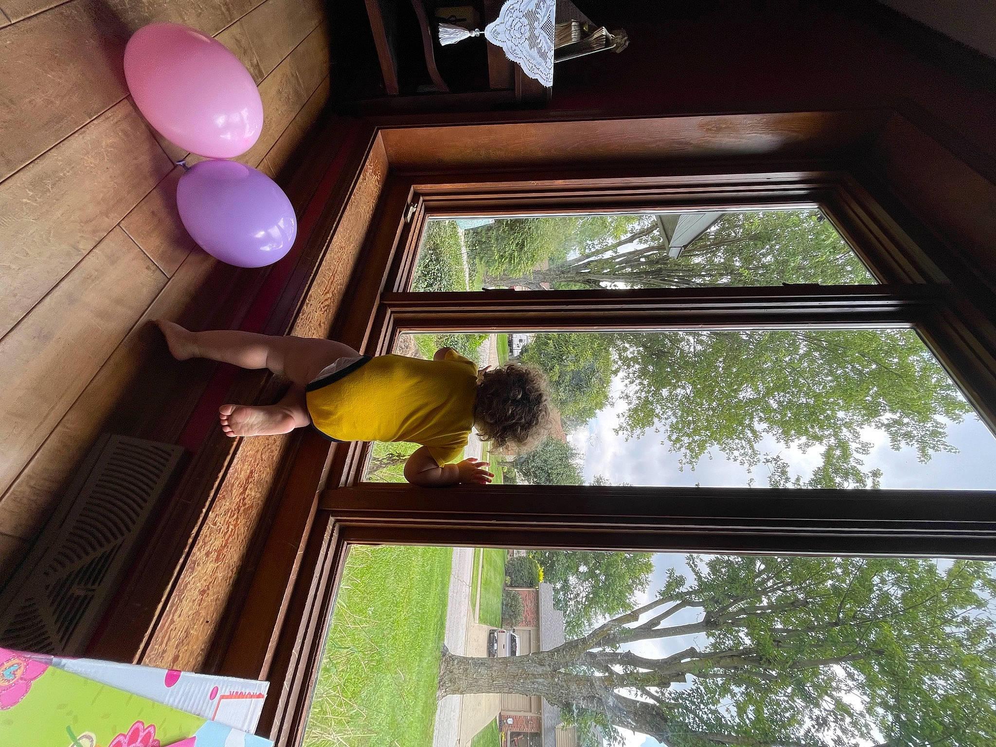 Kamdyn is registered to the contest to win money with this photo: balloon, building, ceiling, flooring, fun, glass, house, interior_design, leisure, light, lighting, line, plant, room, shade, symmetry, tints_and_shades, tree, window, wood