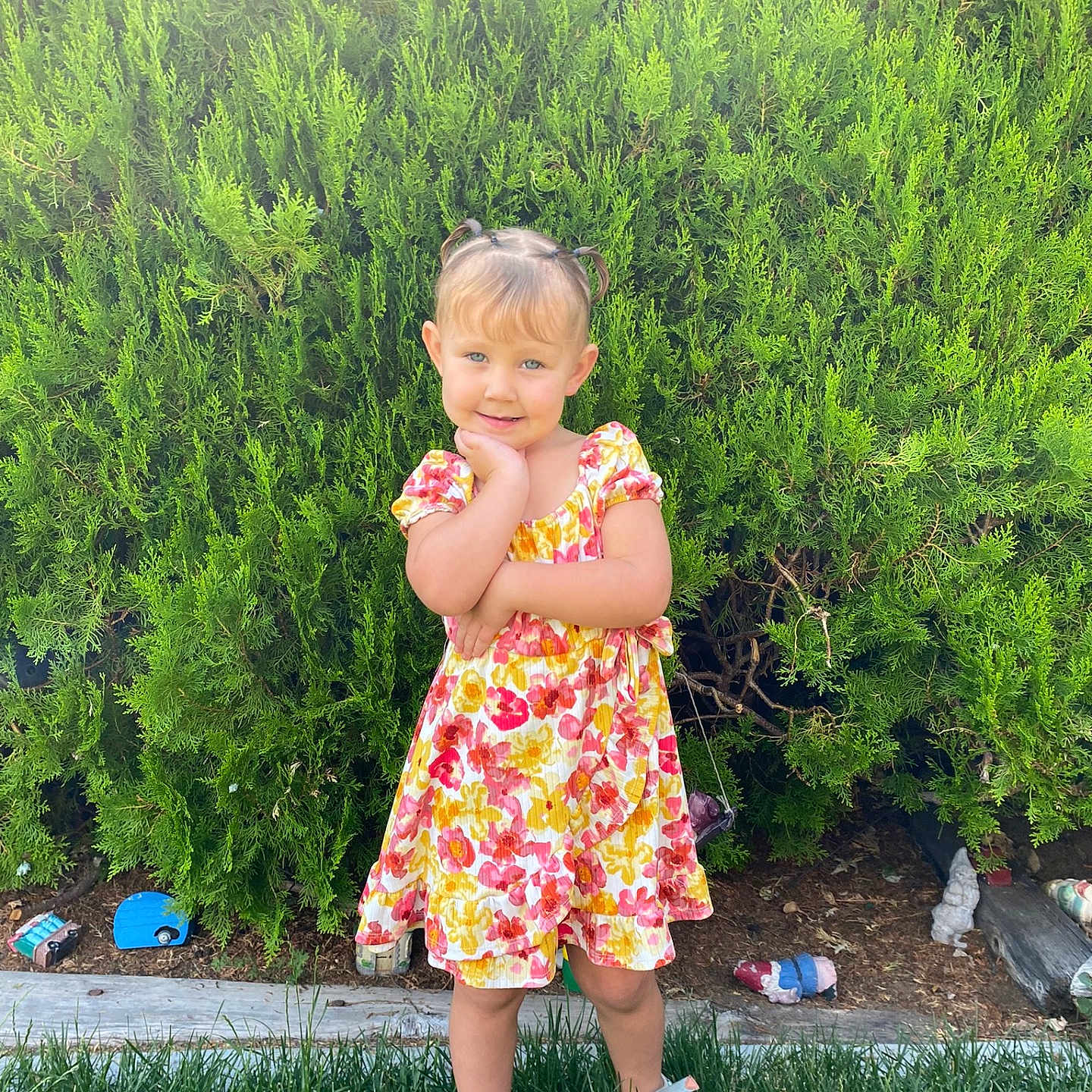 Stevie is registered to the contest to win money with this photo: backyard, clothing, dress, face, grass, head, herbal, herbs, nature, outdoors, park, person, photography, plant, portrait, shorts, summer, tree, vegetation, yard