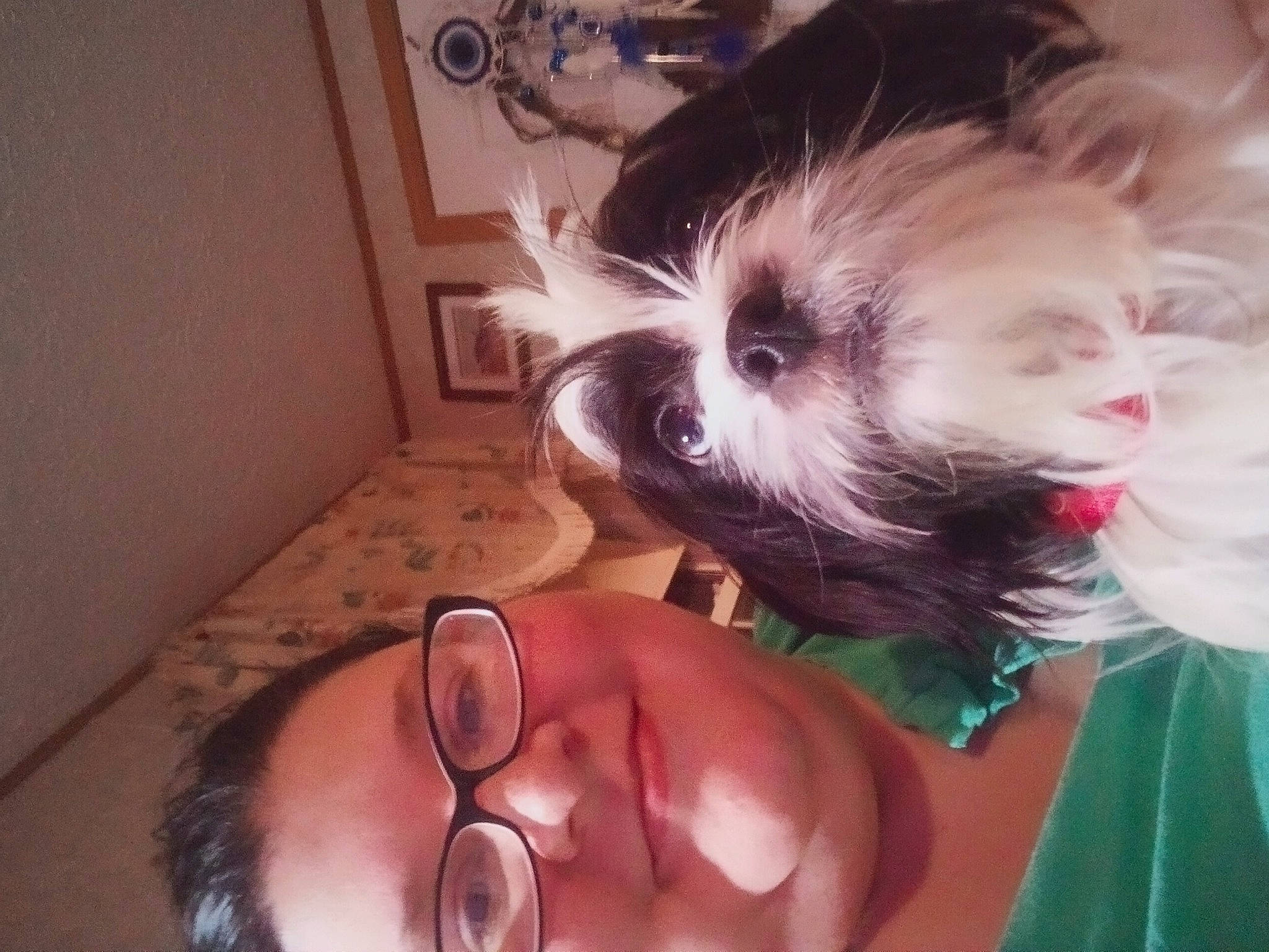 Snoopy joined the competition — help win amazing prizes! black_hair, carnivore, companion_dog, dog, dog_breed, dog_supply, ear, eyelash, eyewear, fawn, gesture, glasses, happy, nose, organ, skin, small_terrier, toy_dog, vision_care, working_animal