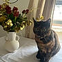 cat, close_up, curtains, decor, domestic_animal, feline, flower_arrangement, golden_leaves, home, indoor, natural_light, pet, plant, roses, still_life, table, tablecloth, tortoiseshell_cat, vase, window