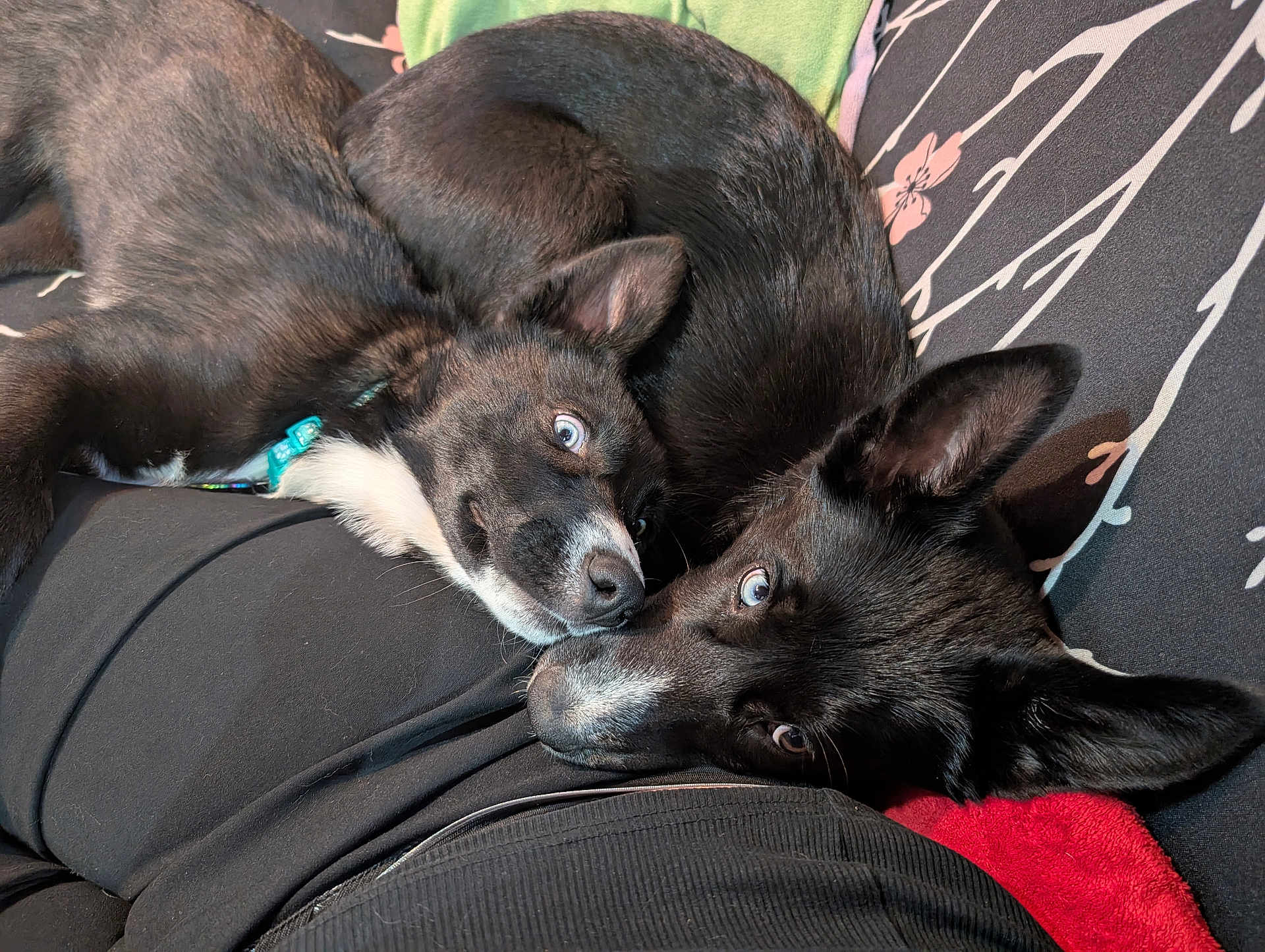 Aya Et Athena