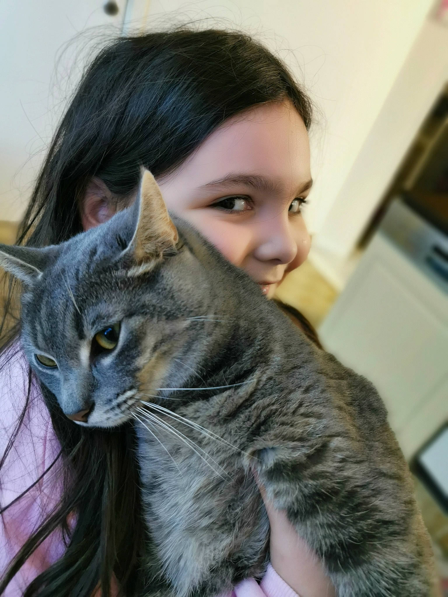 Tiko a rejoint le concours — aidez-le/la à gagner de superbes lots ! carnivore, cat, domestic_short_haired_cat, ear, felidae, fur, gesture, hair, sitting, small_to_medium_sized_cats, smile, snout, whiskers