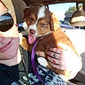 puppy, dog, person, car_interior, sunglasses, tattoo, hand, sunlight, seat, leash, smile, tongue_out, close_up, happy, pet, window, daylight, casual, cute, animal