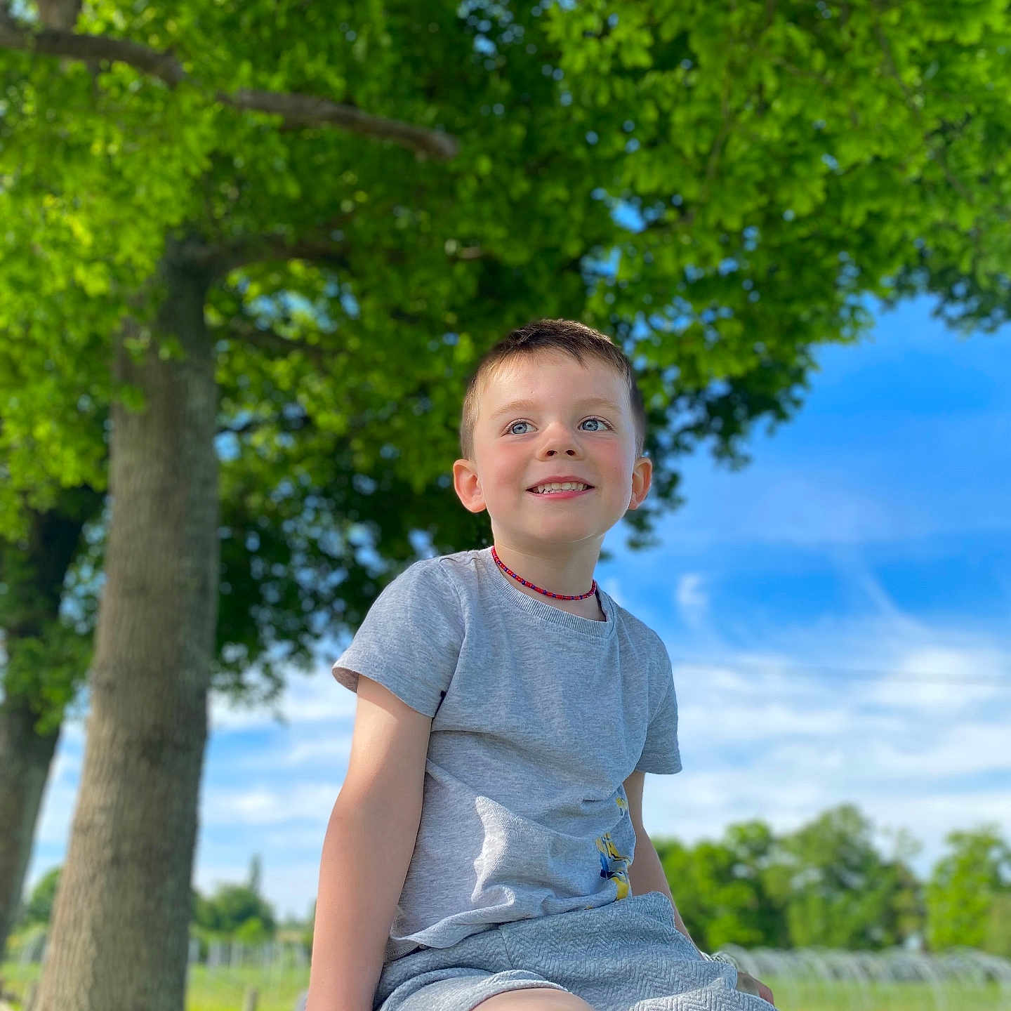 Néo a rejoint le concours — aidez-le/la à gagner de superbes lots ! clothing, face, grass, grove, head, land, nature, oak, outdoors, park, person, photography, plant, portrait, shorts, sitting, summer, t_shirt, tree, vegetation