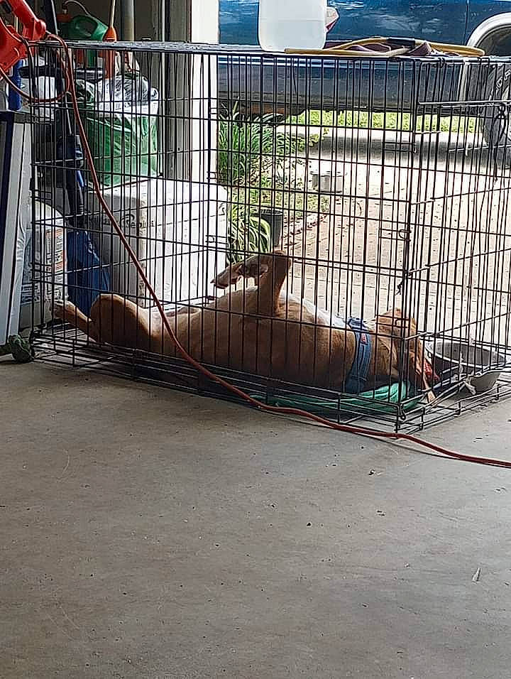 Bently joined the competition — help win amazing prizes! asphalt, automotive_tire, chain_link_fencing, city, composite_material, concrete, fence, gas, mesh, metal, motor_vehicle, net, plant, recreation, road_surface, sidewalk, steel, tree, wire_fencing, wood