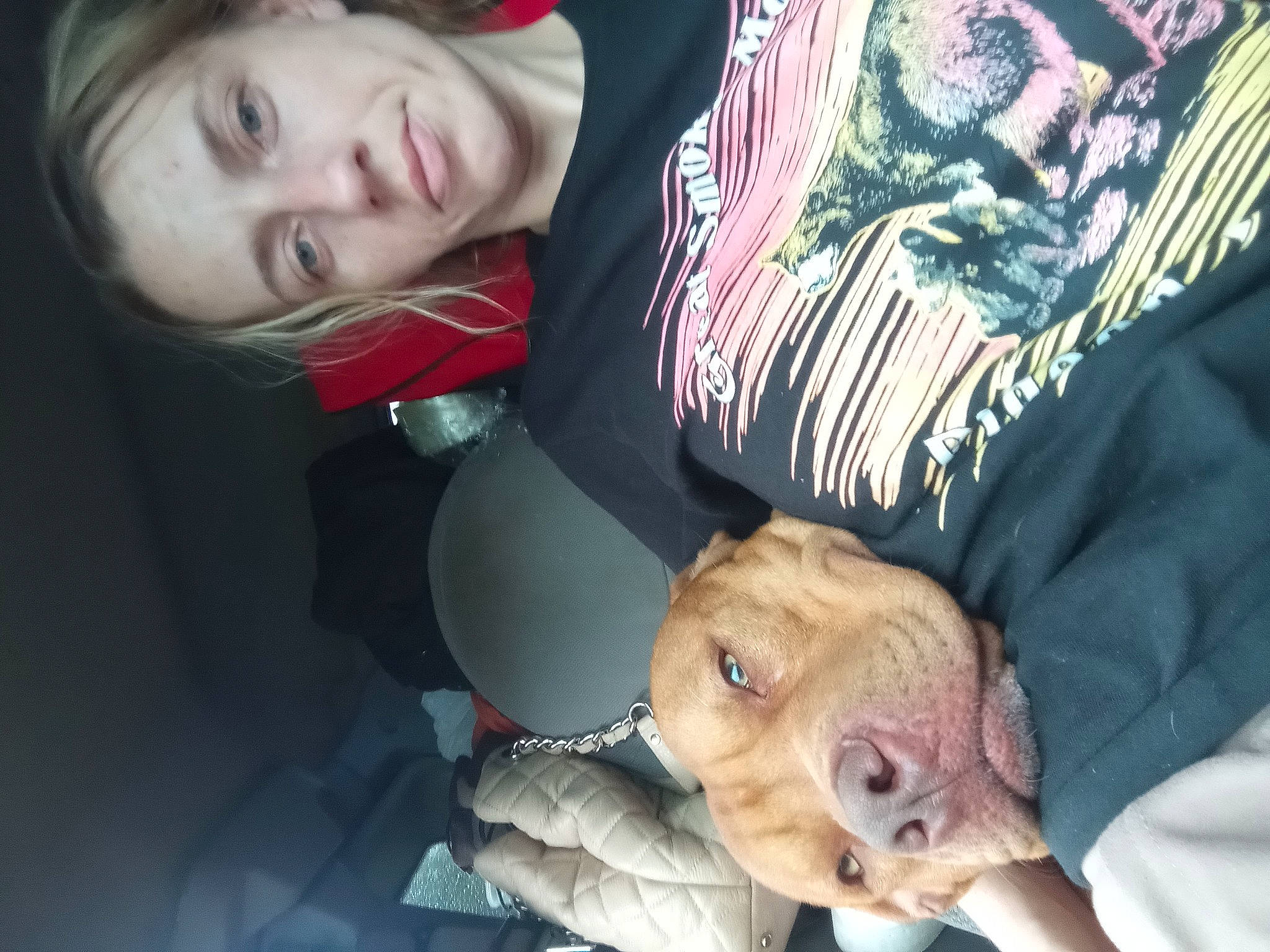 Bently joined the competition — help win amazing prizes! child, comfort, companion_dog, dog, dog_breed, ear, eyelash, fawn, felidae, fun, fur, gesture, happy, mouth, nose, organ, skin, smile, toy_dog, whiskers