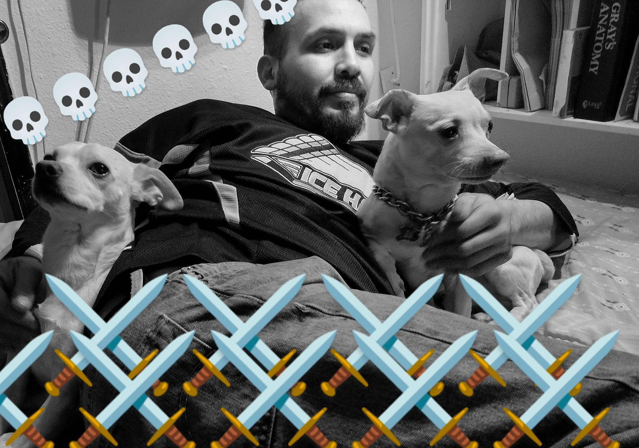 Chico Votos joined the competition — help win amazing prizes! beard, canidae, carnivore, companion_dog, dog, dog_breed, dog_supply, eyewear, fawn, fun, fur, happy, monochrome_photography, non_sporting_group, photo_caption, selfie, snout, sporting_group, t_shirt, toy_dog