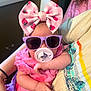 Raelynn joined the competition — help win amazing prizes! baby, bow, pacifier, sunglasses, pink_clothing, arm, person, indoor, window, hand, cute, fashion, child, infant, accessory, portrait, holding, casual, relaxing, colorful