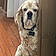 Charlie