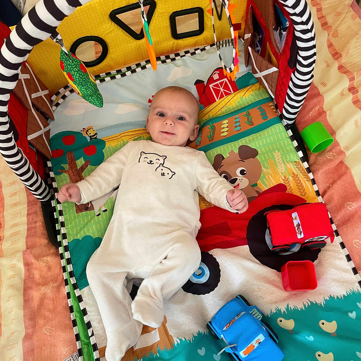 Gabriel a rejoint le concours — aidez-le/la à gagner de superbes lots ! animal_print, baby, bed, blanket, child, clothing, colorful, comfort, cute, early_childhood, fabric, hanging_toys, indoor, infant, person, play_mat, relaxing, smile, soft_toy, toy