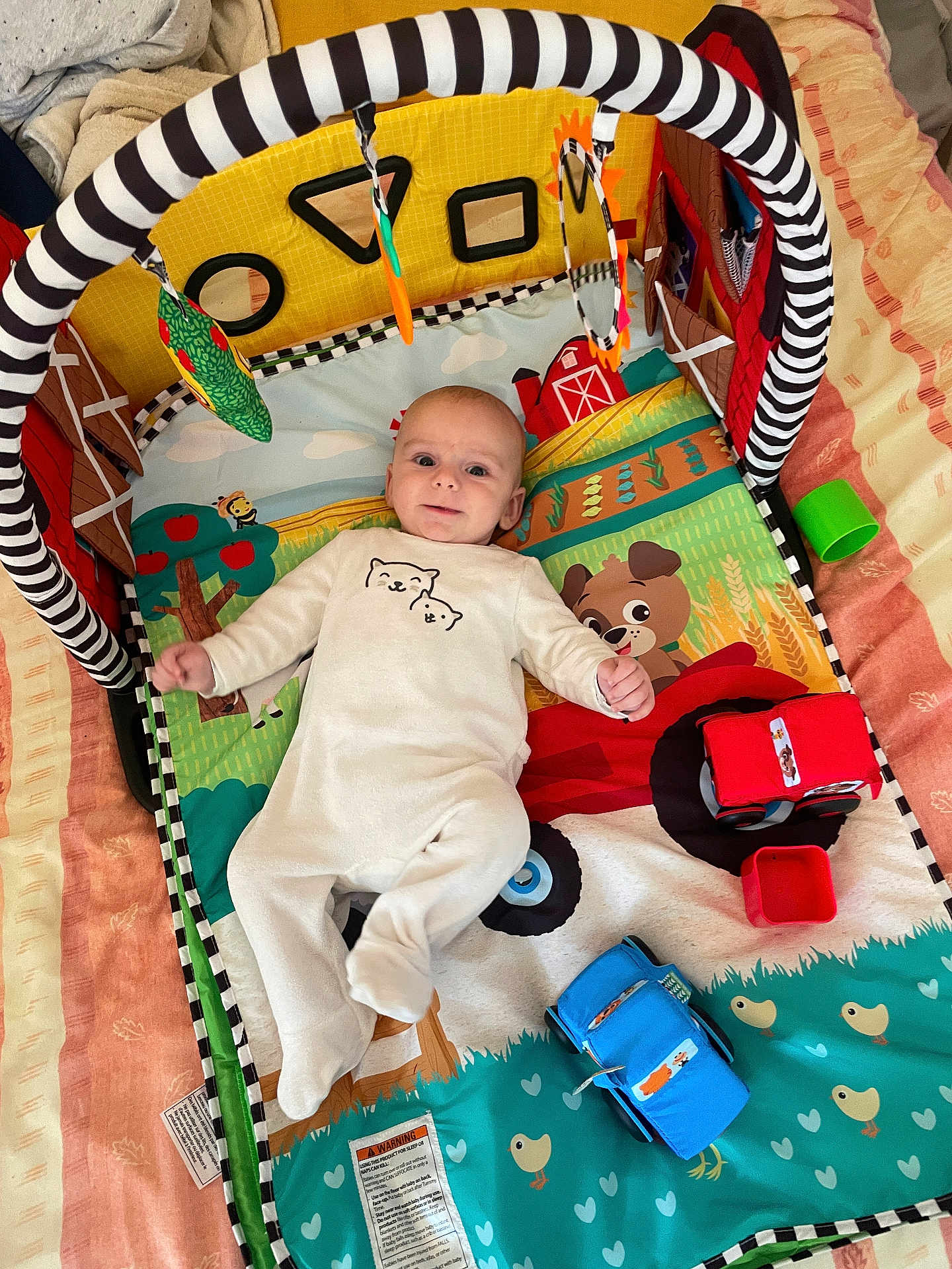 Gabriel a rejoint le concours — aidez-le/la à gagner de superbes lots ! baby, infant, play_mat, toy, soft_toy, colorful, hanging_toys, bed, blanket, smile, cute, indoor, child, person, clothing, animal_print, fabric, comfort, relaxing, early_childhood