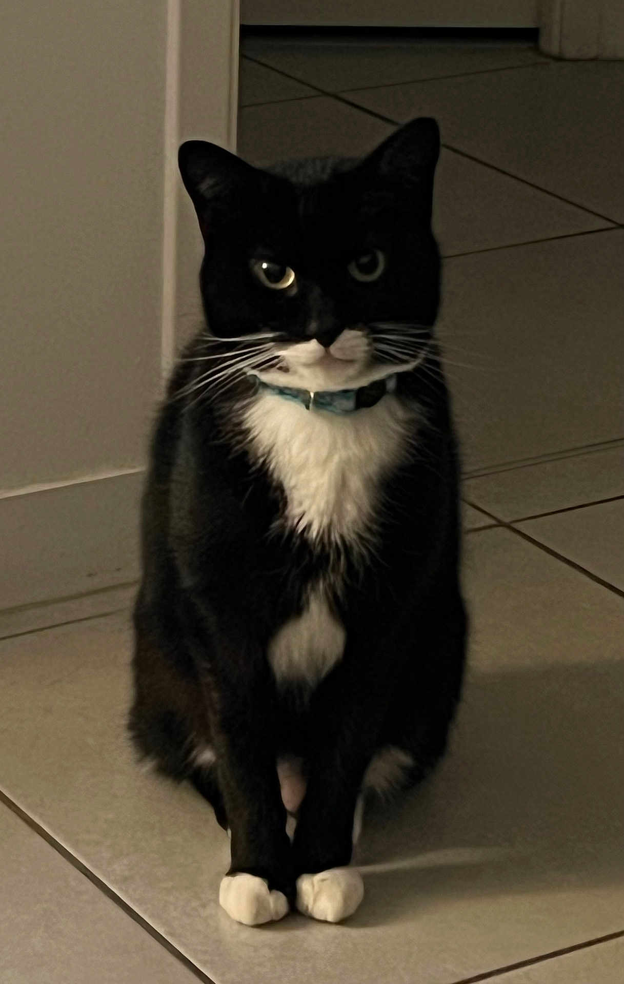 Charlie
