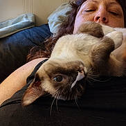 Penelope is registered to the contest to win money with this photo: cat, woman, indoor, lying_down, pet, close_up, relaxed, fur, face, resting, bed, black_clothing, home, curious, animal, portrait, comfort, feline, casual, person