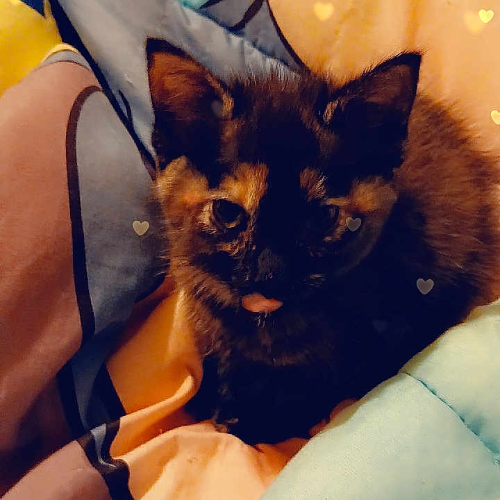 Luna