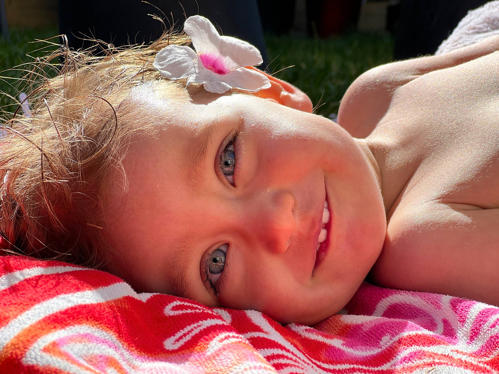 Ariana joined the competition — help win amazing prizes! dress, eye, eyelash, fawn, flash_photography, grass, hair, hairstyle, happy, headband, headpiece, iris, lip, neck, person, pink, plant, skin, smile, summer