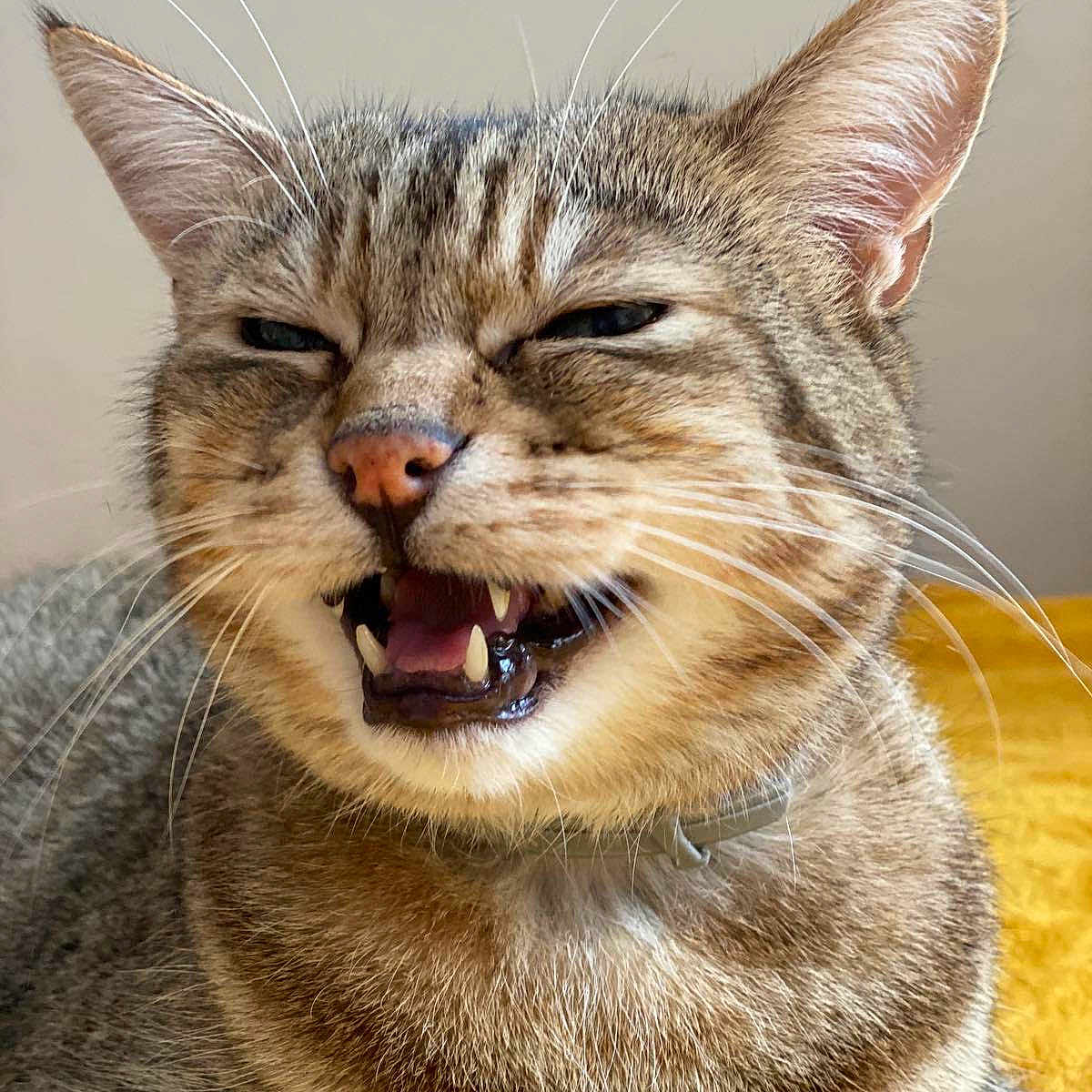Douffy