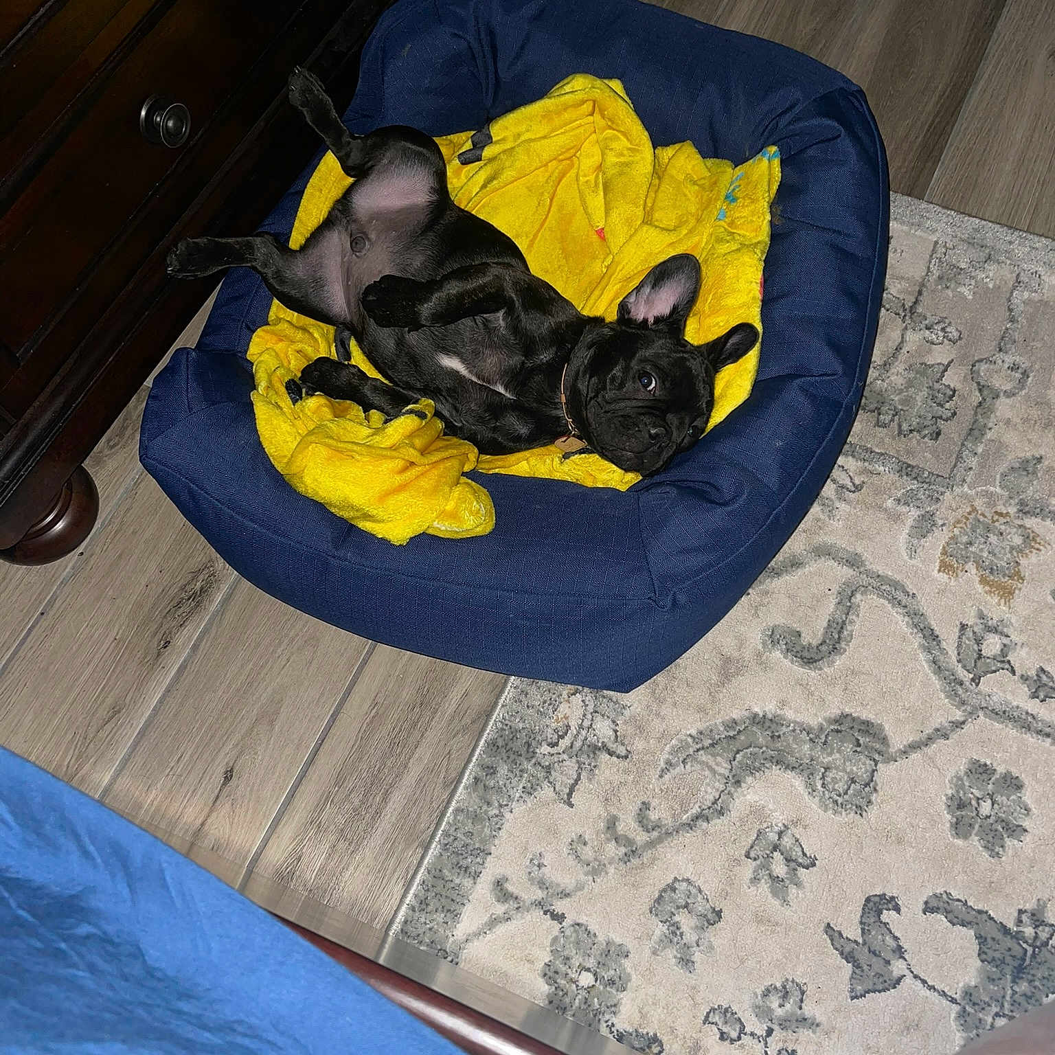 Cash