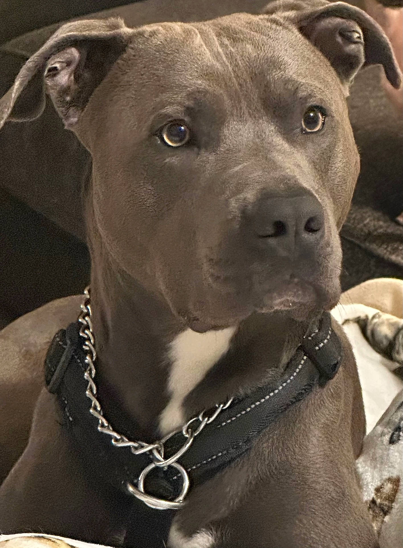 Leroy