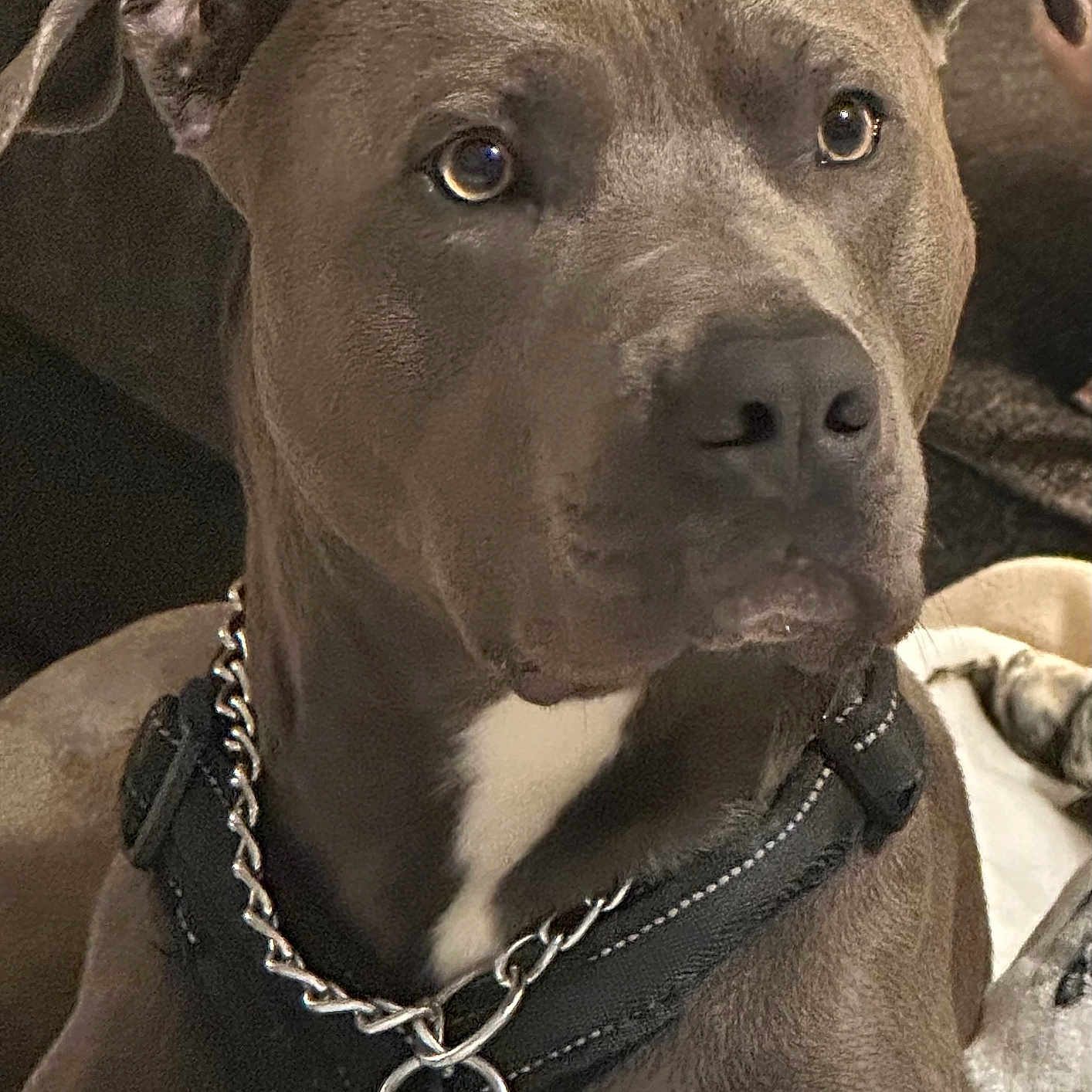 Leroy