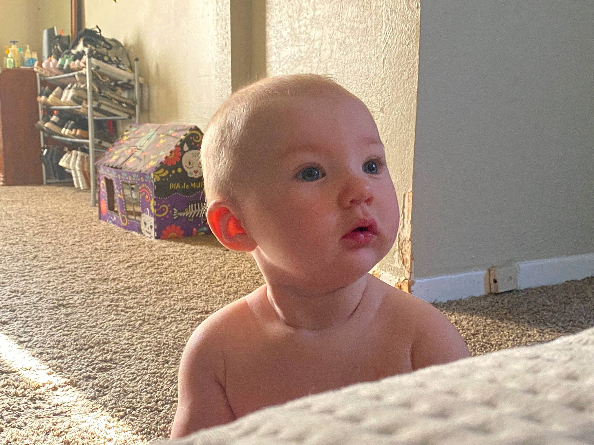 Andromeda joined the competition — help win amazing prizes! baby, baby_toddler_clothing, bookcase, cheek, child, drawer, eye, eyelash, flooring, fun, hardwood, iris, nose, person, room, shelf, sitting, skin, sunglasses, toddler