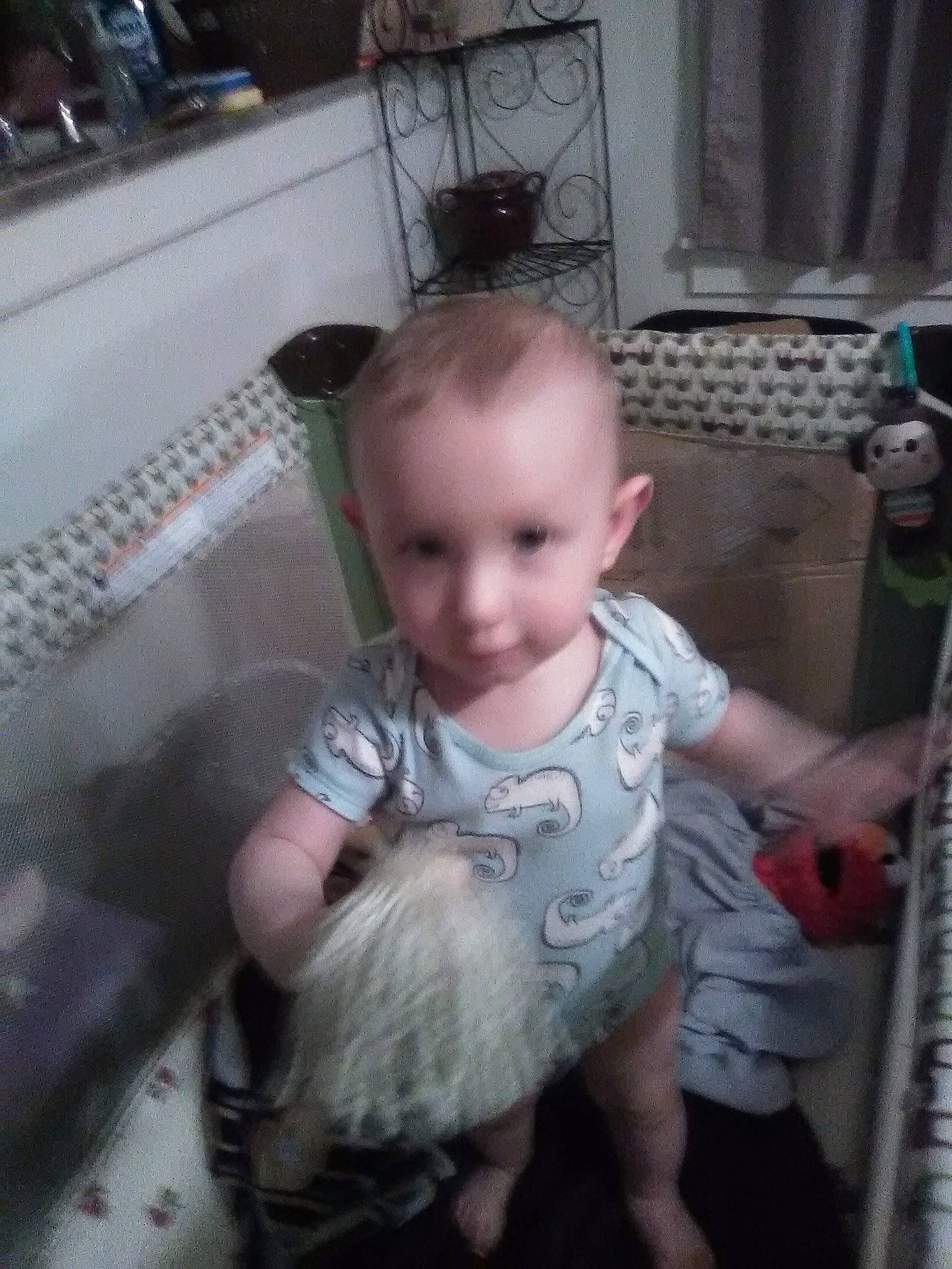 Jetson Priester is registered to the contest to win money with this photo: baby, child, eye, person, product, skin, toddler