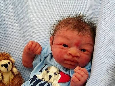 Joachim joined the competition — help win amazing prizes! baby, canidae, child, companion_dog, dog_breed, person, puppy, puppy_love, sporting_group, toddler