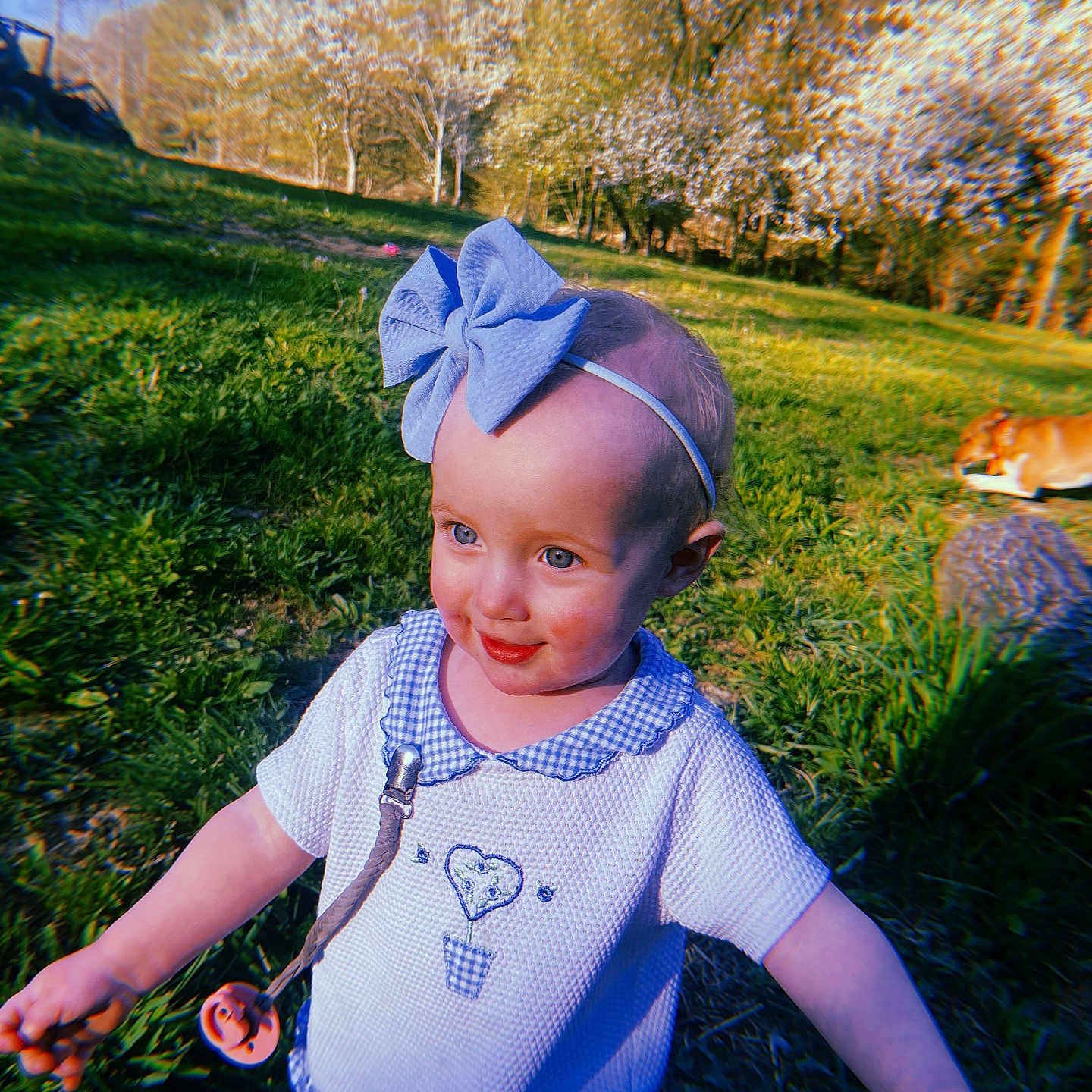 Briella is registered to the contest to win money with this photo: accessories, baby, bodypart, face, finger, flower, grass, hand, happy, head, lawn, nature, outdoors, park, person, photography, plant, portrait, smile, tree