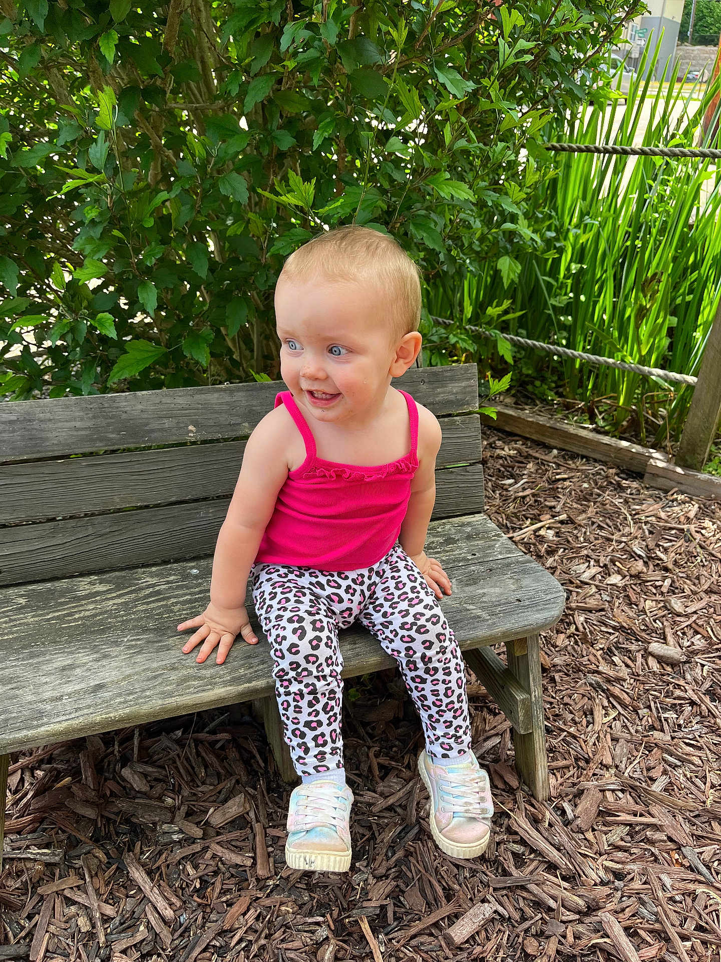 Nova joined the competition — help win amazing prizes! bench, child, clothing, face, female, footwear, furniture, grass, head, herbal, herbs, pants, person, photography, plant, portrait, shoe, sitting, soil, wood