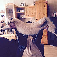 Ity participe au concours pour gagner de l'argent avec cette photo :
