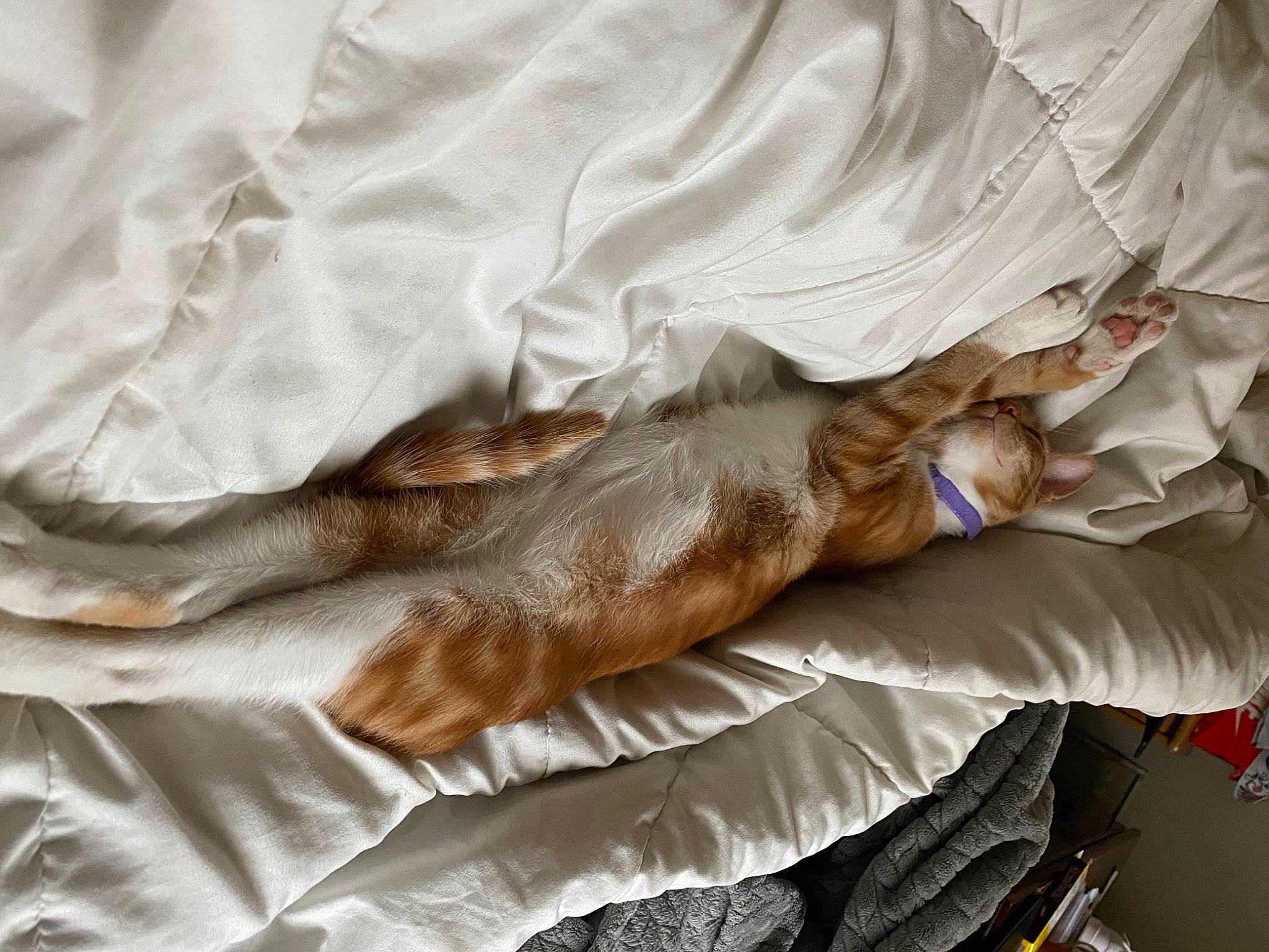 Hashbrown is registered to the contest to win money with this photo: bed_sheet, hand, linens, textile