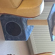 Tommy participe au concours pour gagner de l'argent avec cette photo : audio_equipment, carnivore, cat, cat_supply, chair, fashion_accessory, fawn, felidae, flooring, hardwood, loudspeaker, musical_instrument, personal_protective_equipment, pet_supply, plywood, siamese, small_to_medium_sized_cats, tail, wood, wood_stain