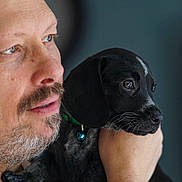 Luna joined the competition — help win amazing prizes! man, puppy, dog, face, beard, mustache, collar, bell, hand, portrait, closeup, animal, pet, indoor, looking, expression, human, black_dog, whiskers, skin