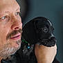 animal, beard, bell, black_dog, closeup, collar, dog, expression, face, hand, human, indoor, looking, man, mustache, pet, portrait, puppy, skin, whiskers