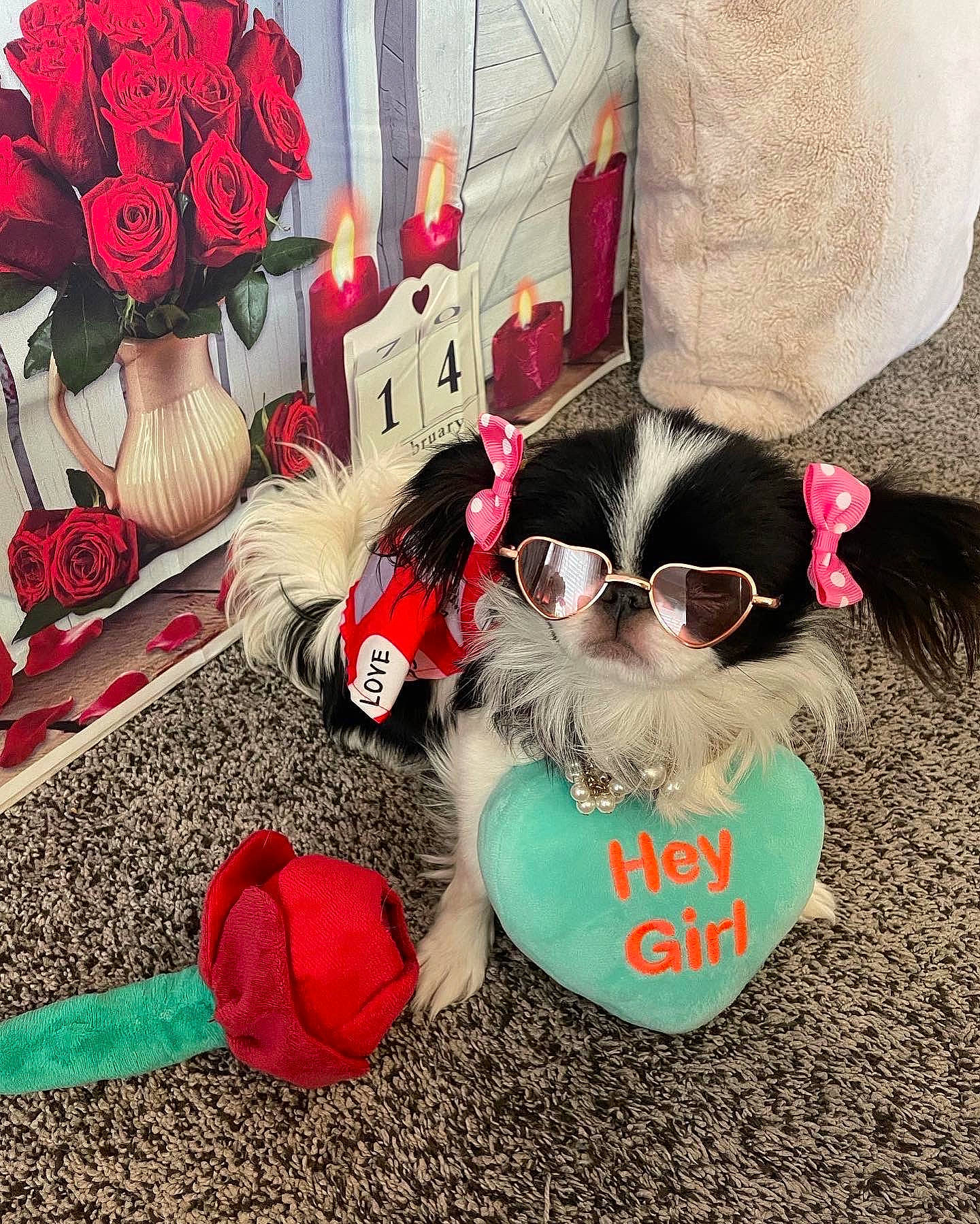 Sophie May is registered to the contest to win money with this photo: beauty, christmas_ornament, cool, event, eyewear, fashion, flower, font, happy, magenta, mammal, petal, pink, plant, red, rose, shoe, sunglasses, textile, vertebrate