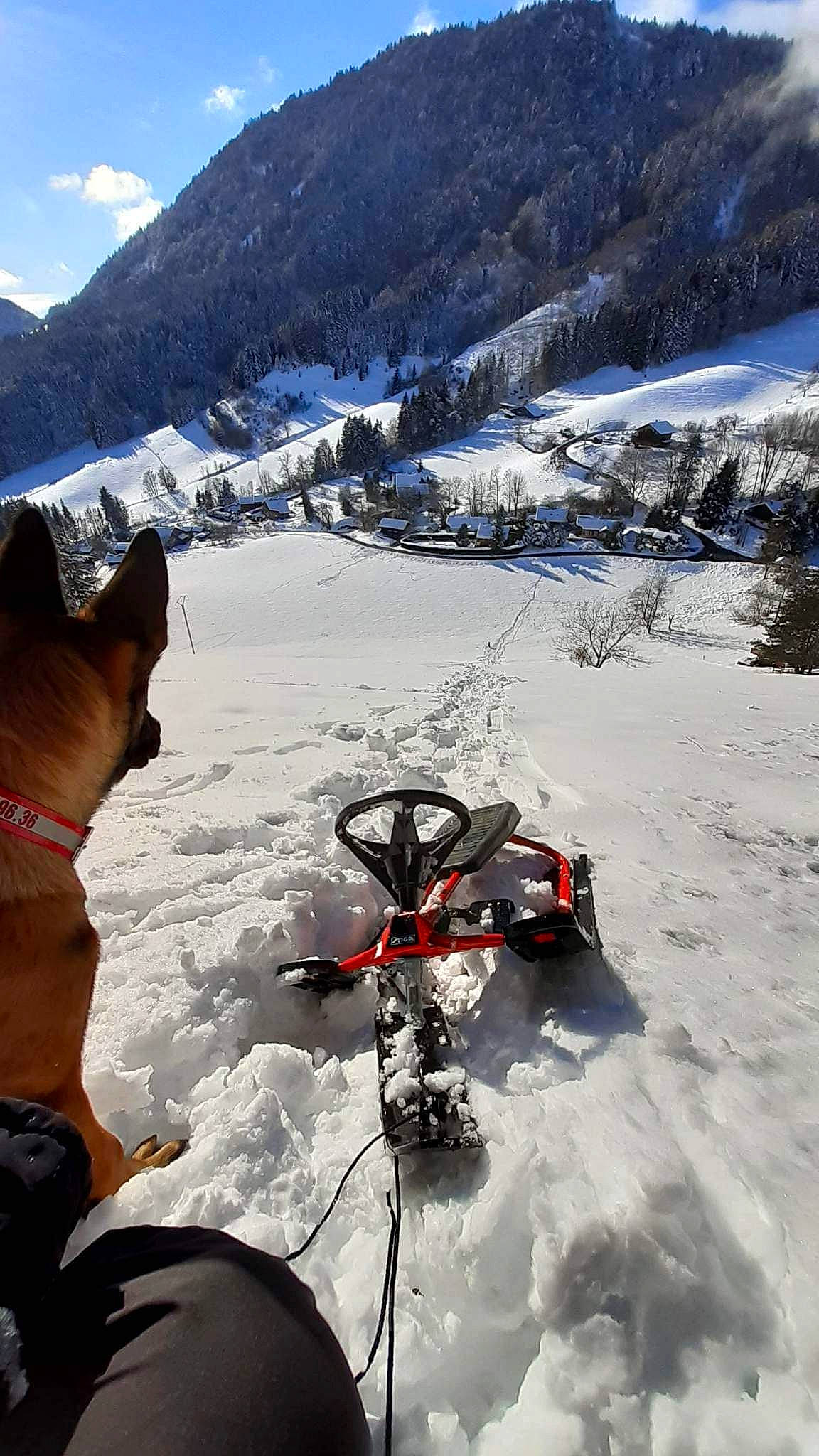 Raven a rejoint le concours — aidez-le/la à gagner de superbes lots ! adventure, automotive_tire, carnivore, dog, dog_breed, freezing, geological_phenomenon, glacial_landform, ice_cap, landscape, mountain, mountain_range, mountainous_landforms, nunatak, outdoor_recreation, recreation, sky, slope, snow, winter