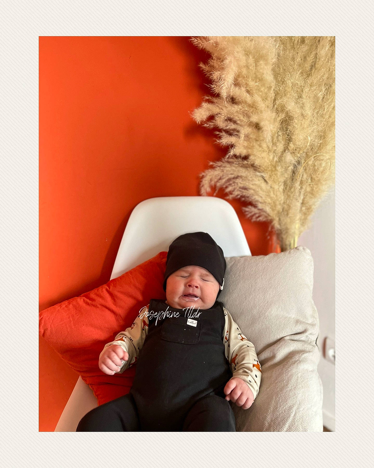 Gianni a rejoint le concours — aidez-le/la à gagner de superbes lots ! baby, baby_toddler_clothing, bedding, cap, comfort, couch, cushion, fashion_accessory, fur, headwear, linens, magenta, outerwear, person, pillow, room, sitting, sleeve, t_shirt, throw_pillow