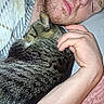 man, cat, sleeping, cuddling, pet, indoor, bedroom, blanket, arm, hand, beard, face, closed_eyes, striped_cat, tabby, cozy, portrait, flash_photography, resting, companionship