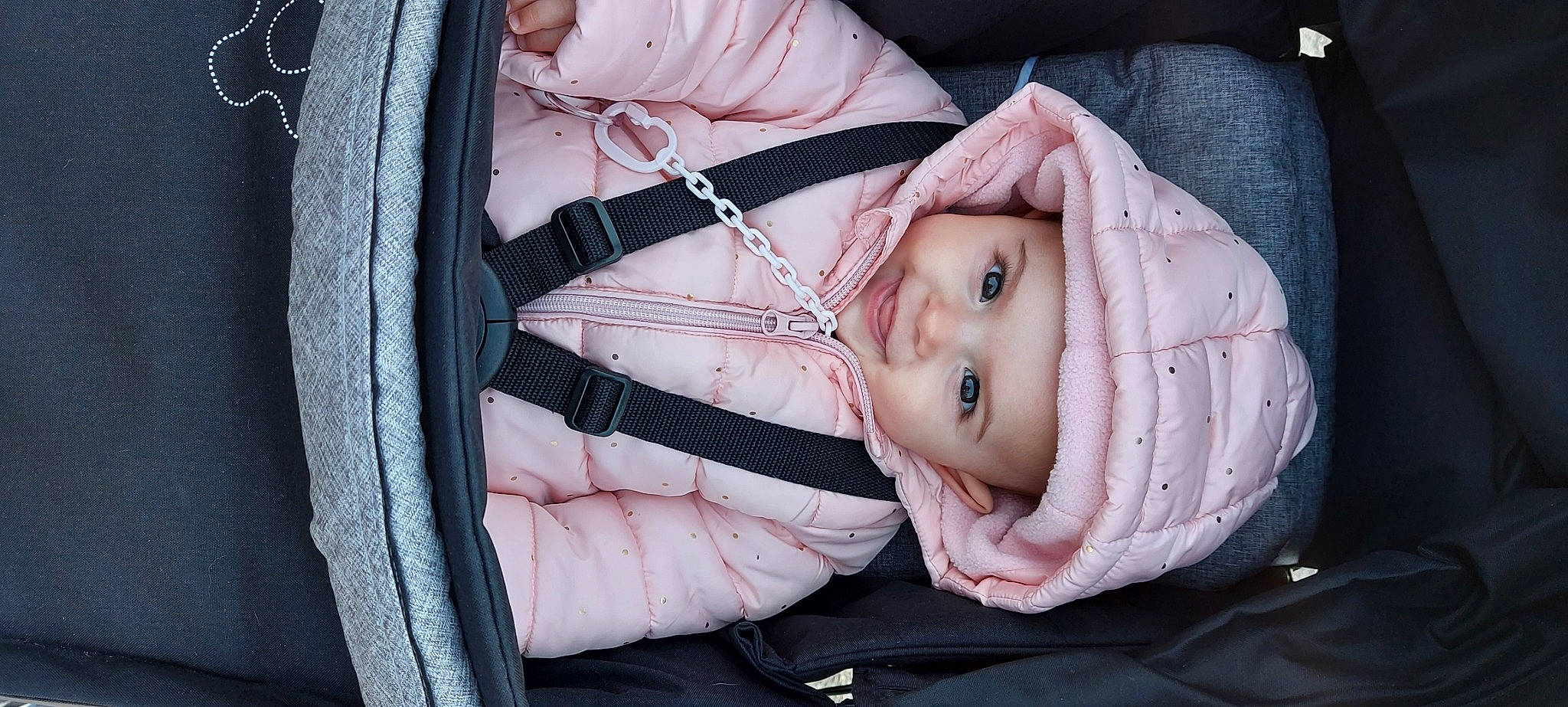 Nelly a rejoint le concours — aidez-le/la à gagner de superbes lots ! baby, baby_carriage, baby_products, baby_toddler_clothing, button, cheek, child, comfort, flesh, fur, headwear, mammal, outerwear, person, pink, portrait_photography, sitting, skin, sleeve, textile