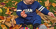 Kirill is registered to the contest to win money with this photo: autumn, baby, blue_outfit, child, daylight, fall, grass, leaves, neighborhood, outdoor, park, portrait, road, seasonal, shoes, sidewalk, sitting, smiling, toddler, trees