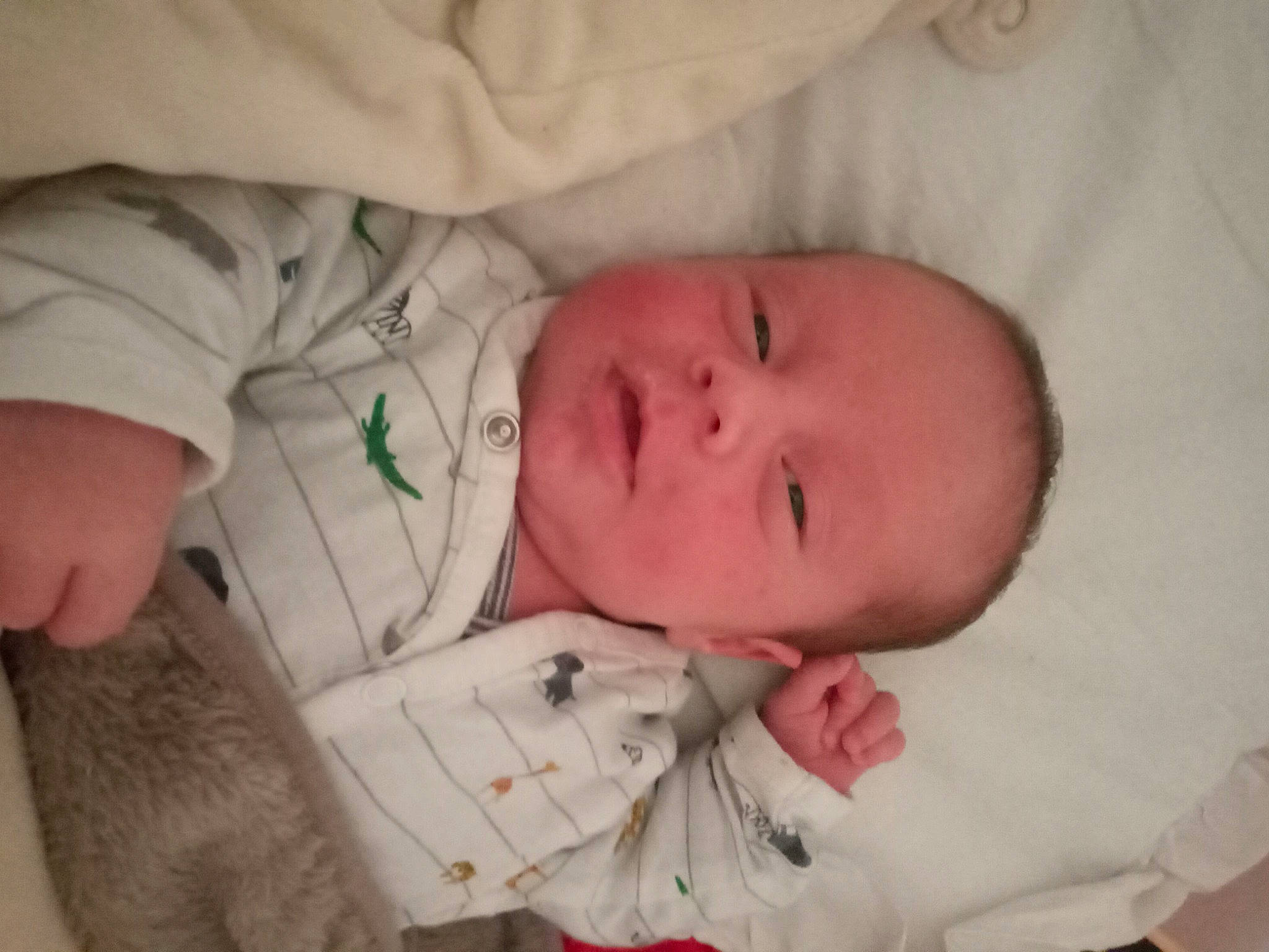 Santino a rejoint le concours — aidez-le/la à gagner de superbes lots ! baby, baby_products, bedtime, cheek, child, eye, finger, head, mouth, nose, person, product, skin, sleep, toddler