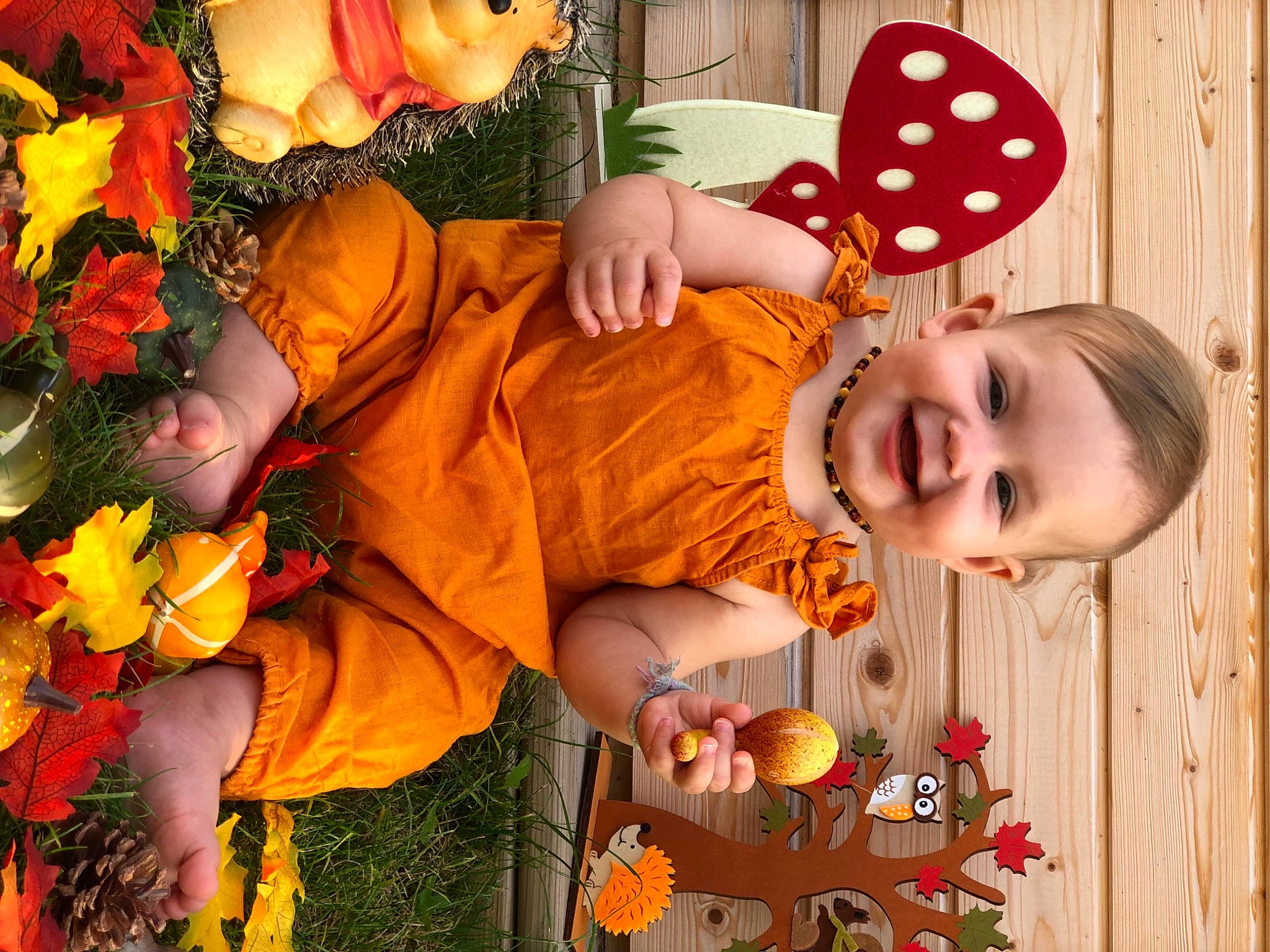 Lyla a rejoint le concours — aidez-le/la à gagner de superbes lots ! baby_toddler_clothing, calabaza, child, event, flower, fun, gourd, grass, happy, holiday, joy, orange, organ, pattern, people_in_nature, person, plant, pumpkin, shorts, spring