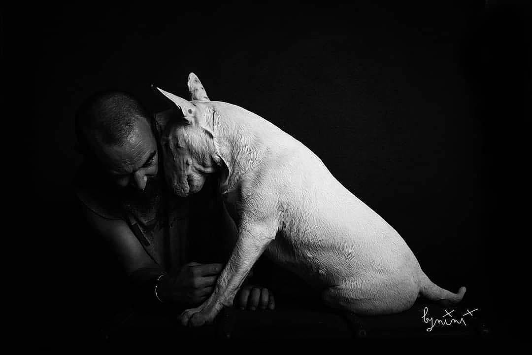 Rocky a rejoint le concours — aidez-le/la à gagner de superbes lots ! art, darkness, entertainment, event, flash_photography, flesh, macro_photography, marine_biology, monochrome, monochrome_photography, performance, performance_art, performing_arts, public_event, snout, still_life_photography, tail, underwater, visual_arts, wildlife