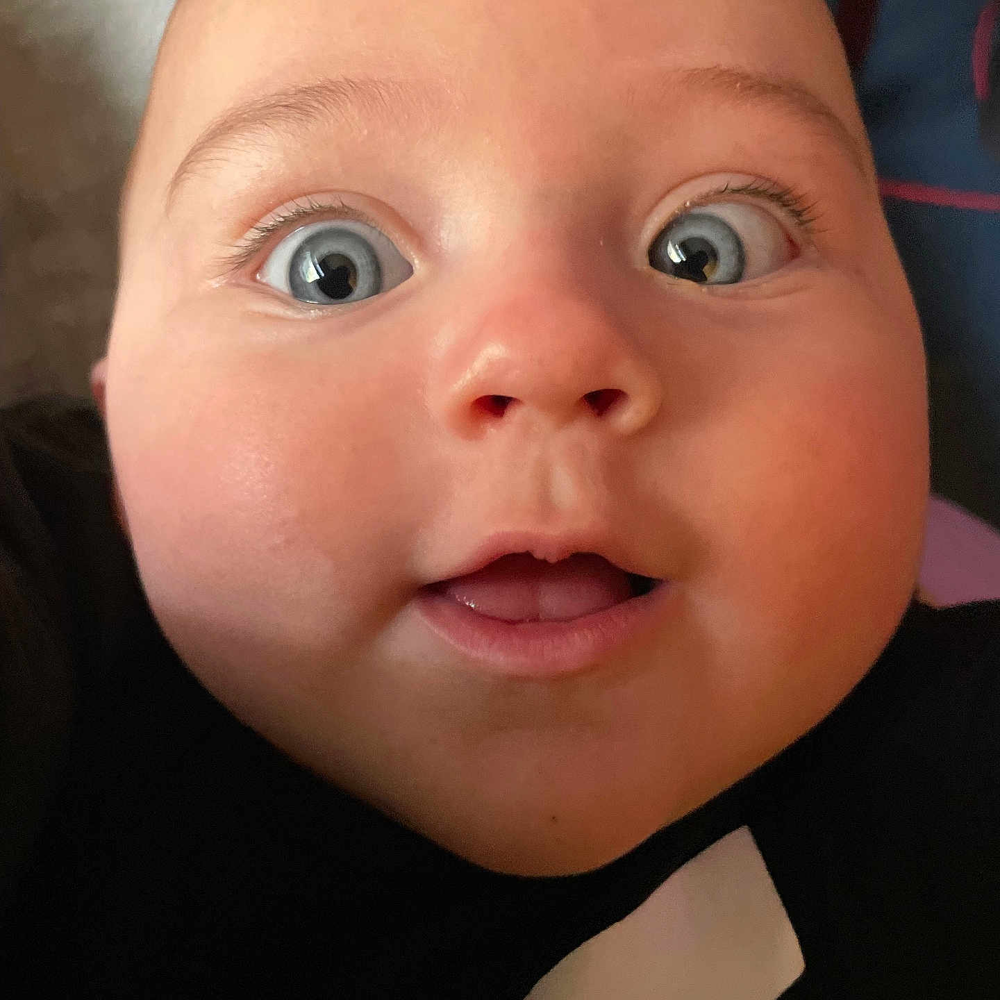 Jameson is registered to the contest to win money with this photo: baby, black_clothing, blue_eyes, child, chubby_cheeks, close_up, curiosity, cute, expression, eyelashes, face, head, human, indoors, innocence, mouth, person, portrait, skin, young